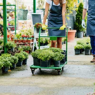 Horticulture & Greenhouse